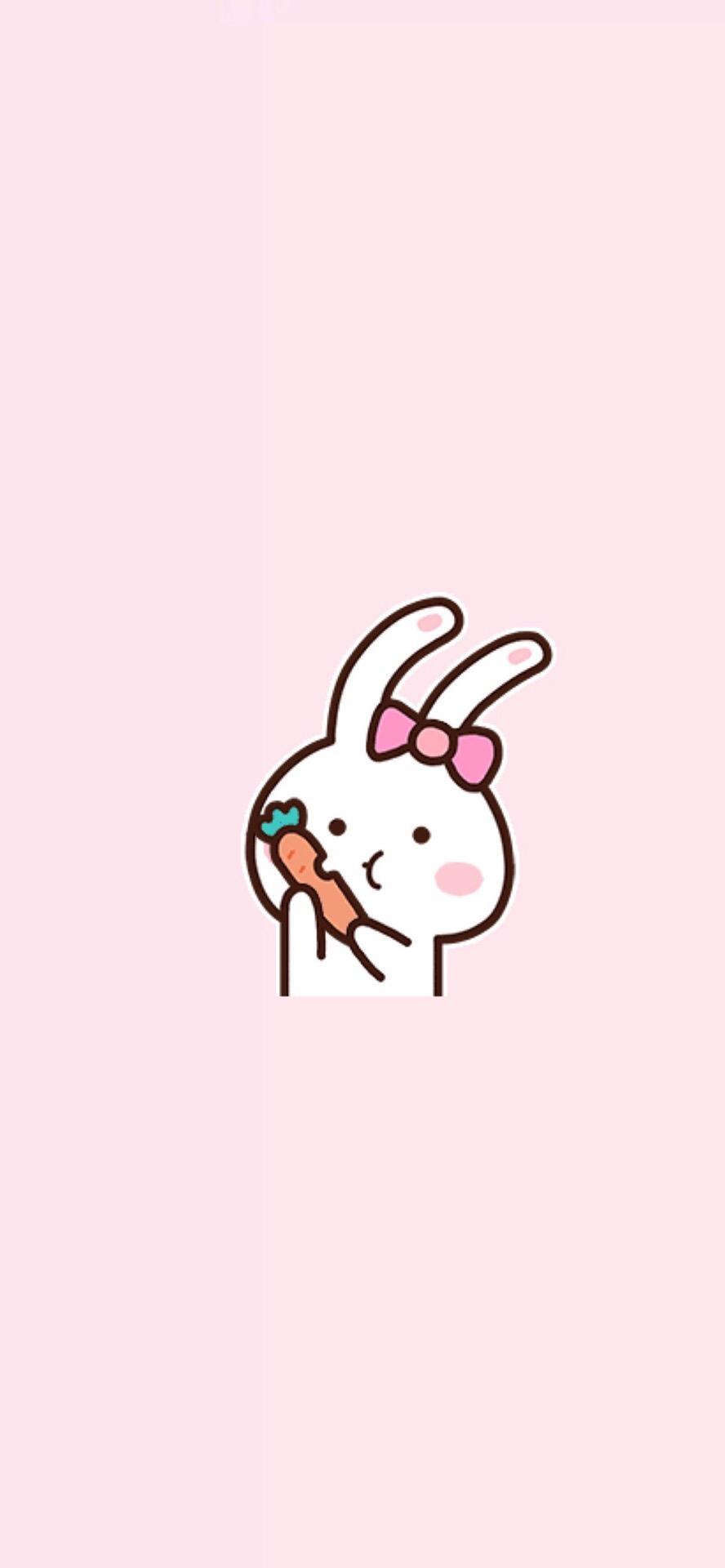 未公开（更新ing）