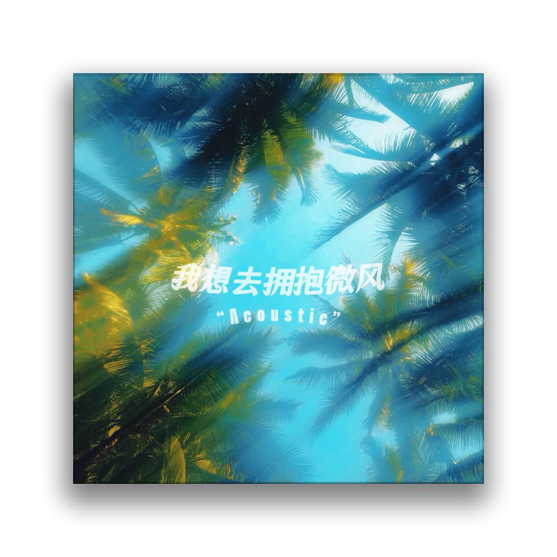 我想去拥抱微风（Acoustic）