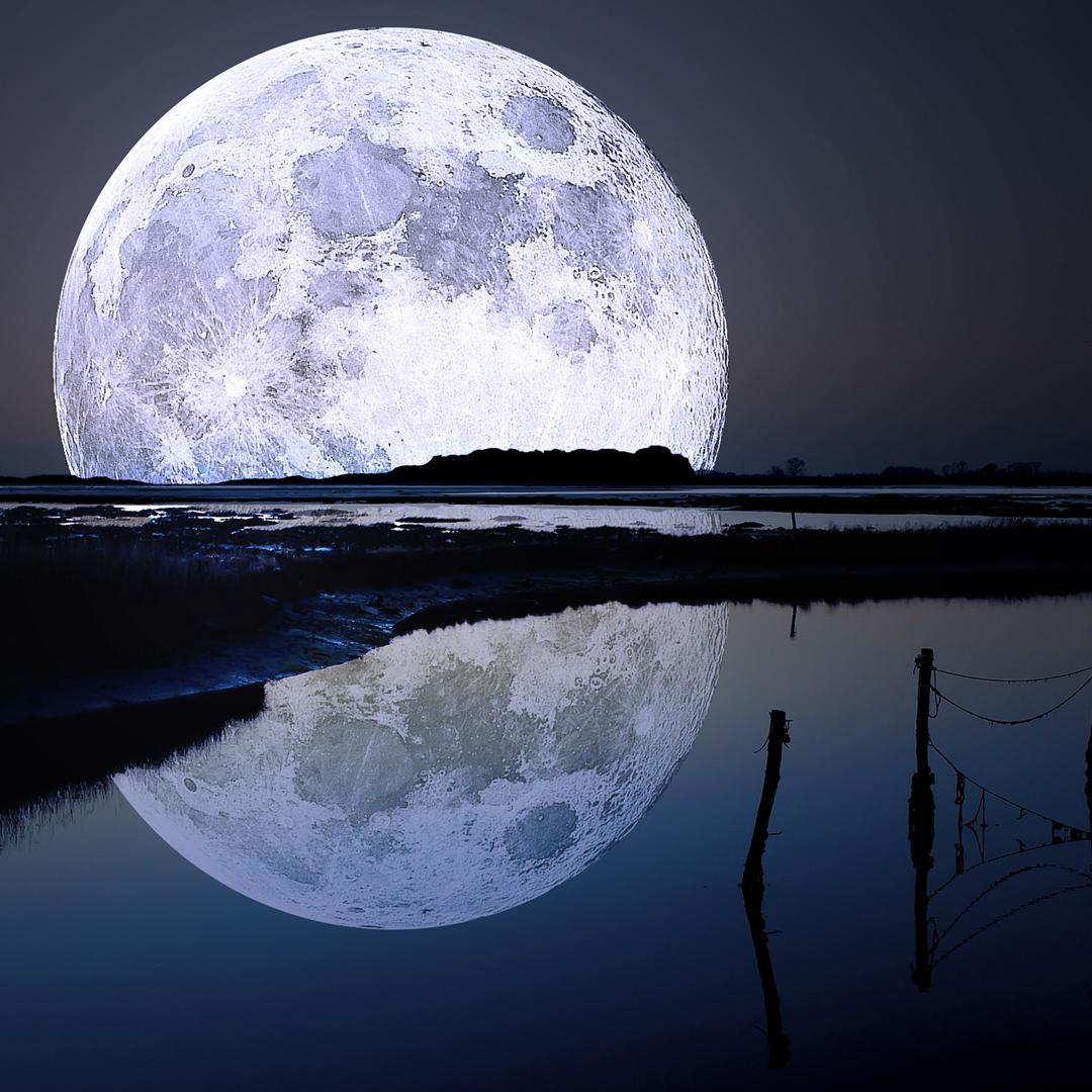 I Was Made For Lovin You