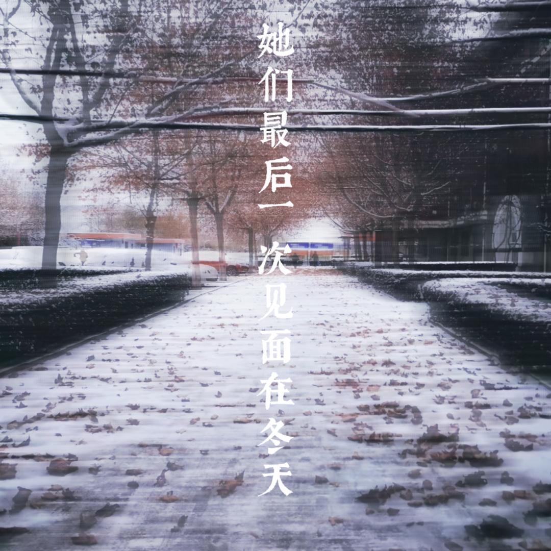 她们最后一次见面在冬天