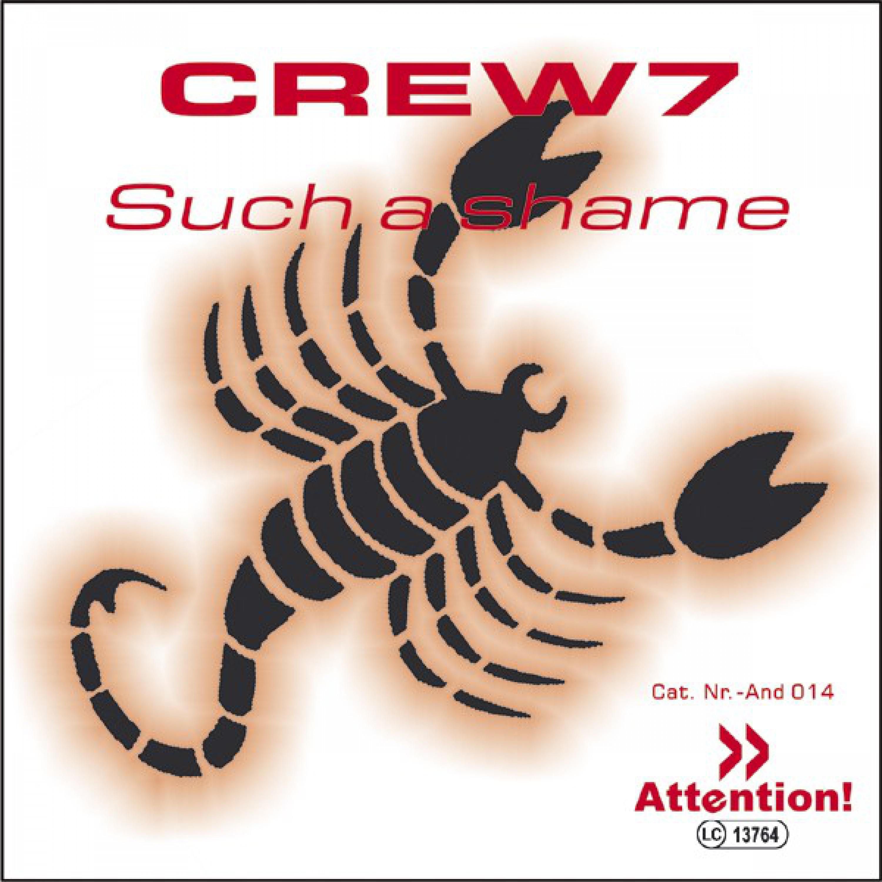 Crew 7 - Such A Shame (Subgroover Extended)