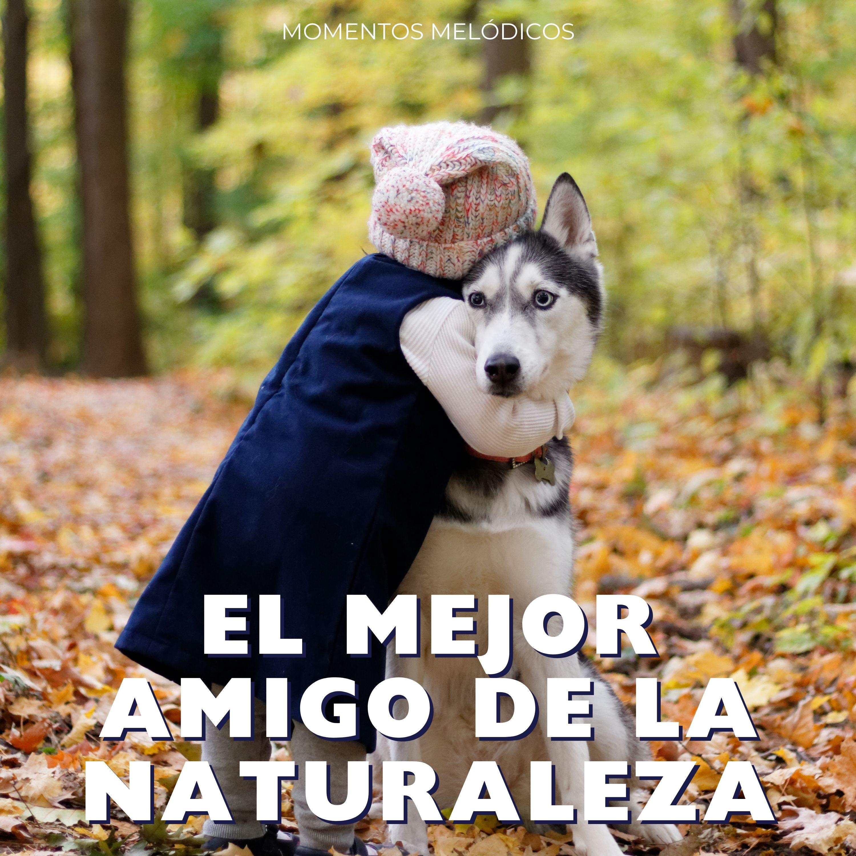 Grabaciones de la naturaleza LBE - Susurros De Serenidad Con Tu Perro