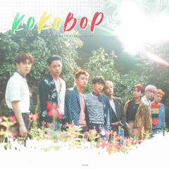 Ko Ko Bop（翻自EXO）