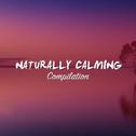 #12 Naturally Calming Compilation for Yoga专辑