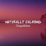 #12 Naturally Calming Compilation for Yoga专辑