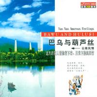 满山葡萄红艳艳 伴奏降B 滇南古韵 (器乐) (葫芦丝合集)