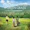 Yellow Flowers on the Green Grass (Original Motion Picture Soundtrack)专辑