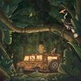 Rainforest