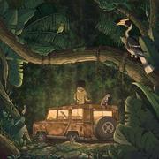 Rainforest