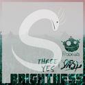 Brightness(Extended Mix)专辑