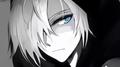 爱情我输了