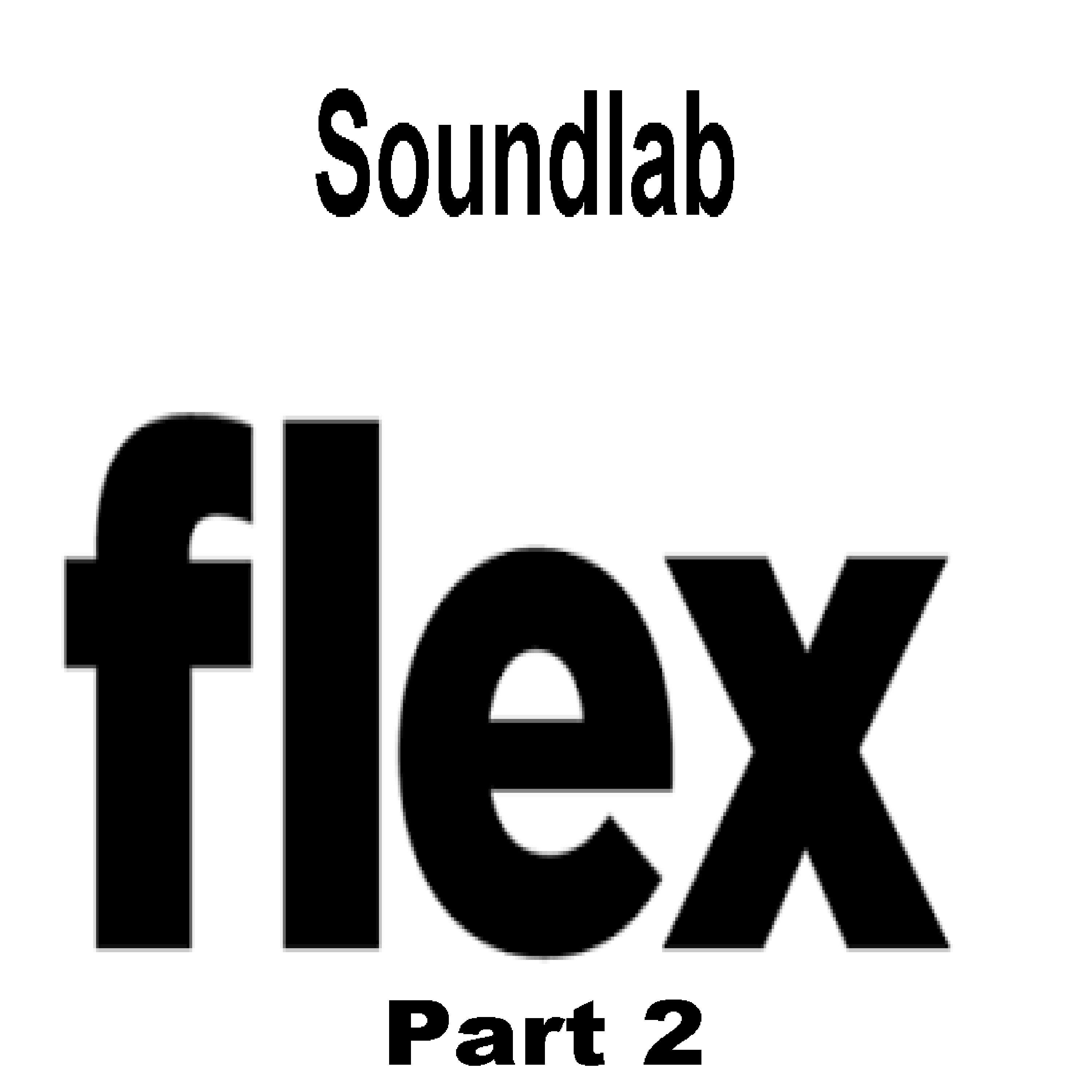Flex (Part 2)