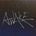 AWAKE专辑