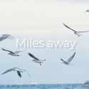 Miles away