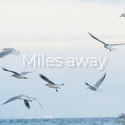 Miles away（纯人声）