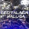 Dj Brayan Da Zs - CROTALARIA MALUCA