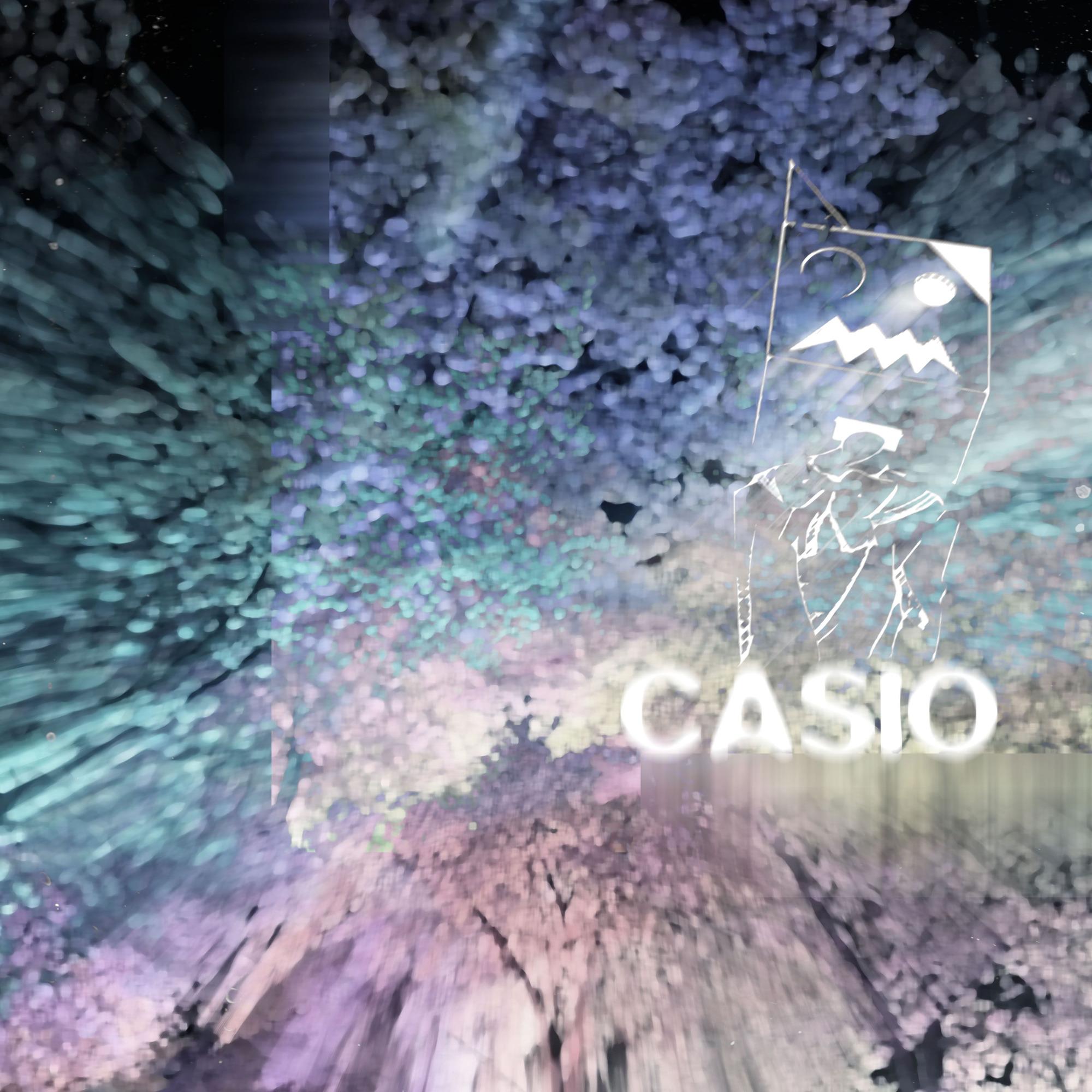 CASIO