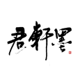倾君半生承一诺