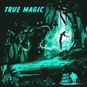 MSJ007: True Magic专辑