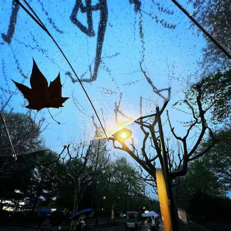 如果爱上你只是一个梦境