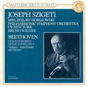 Violin Concerto & Spring Sonata专辑