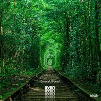 Emerald Forest