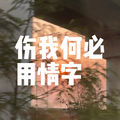 伤我何必用情字