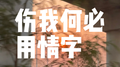 伤我何必用情字专辑