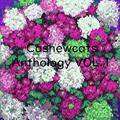 カシューキャッツ アンソロジー VOl. 1
