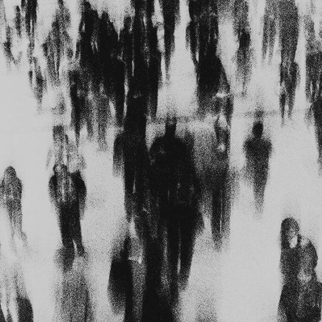 “ Kingdom ”