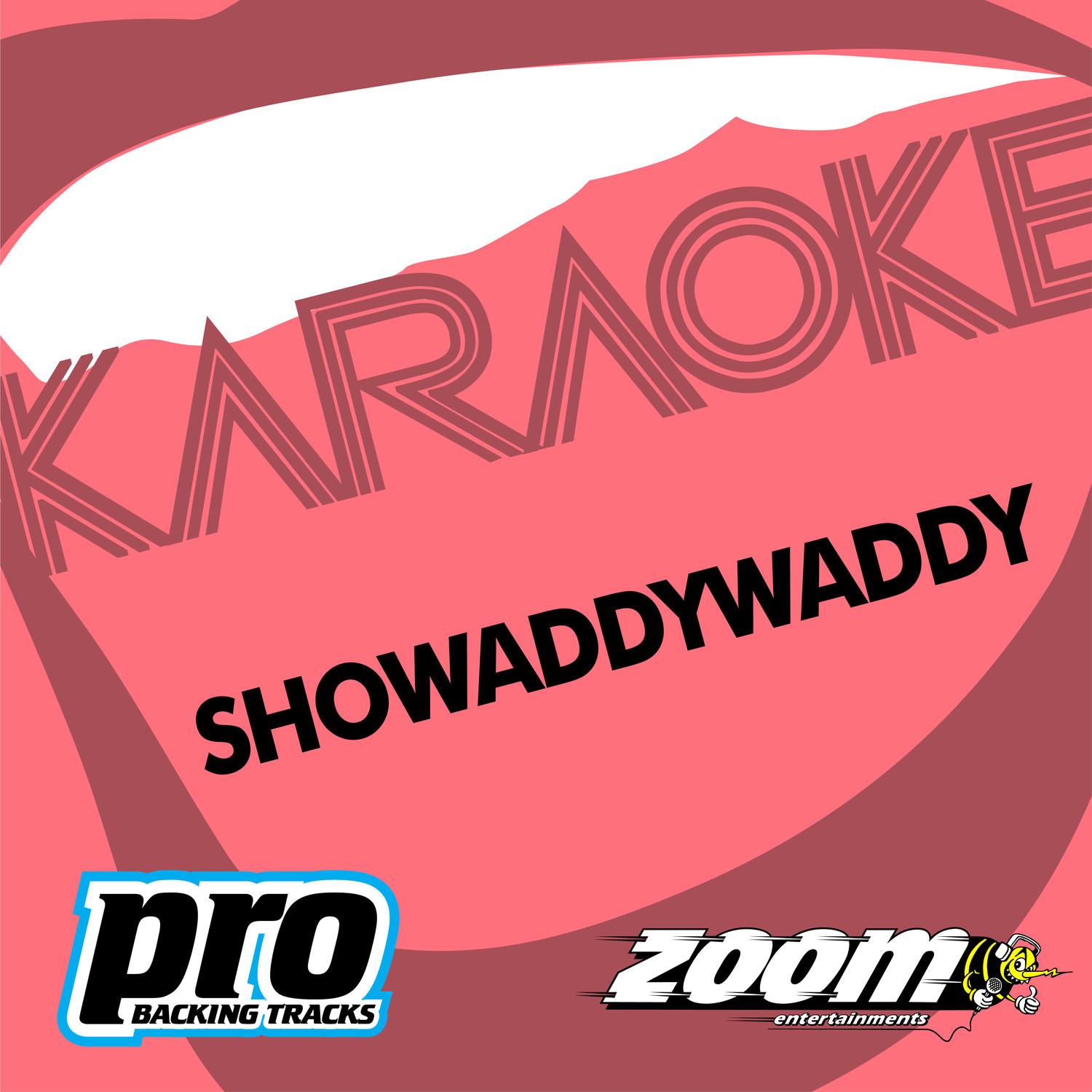 Zoom Karaoke - Showaddywaddy专辑