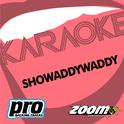 Zoom Karaoke - Showaddywaddy专辑