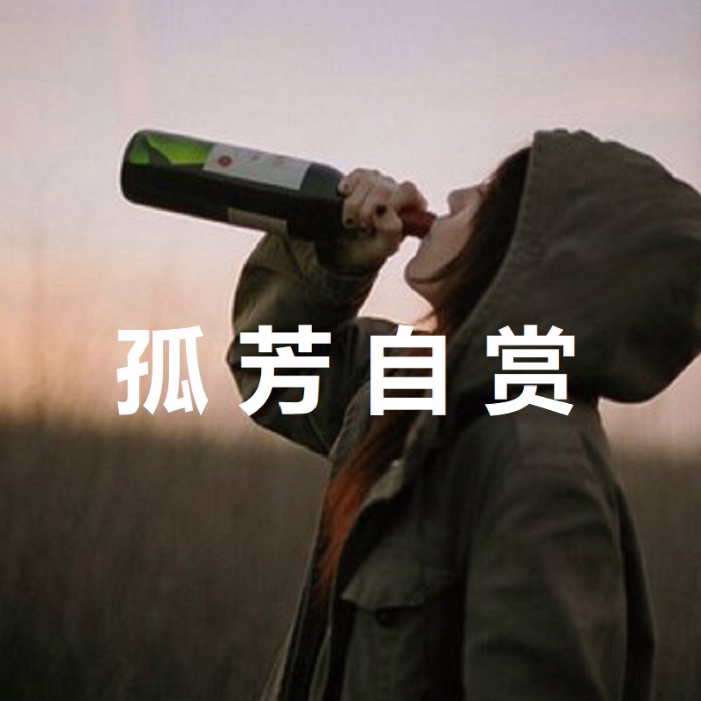 孤芳自赏 (撕裂版) (cover 杨小壮)