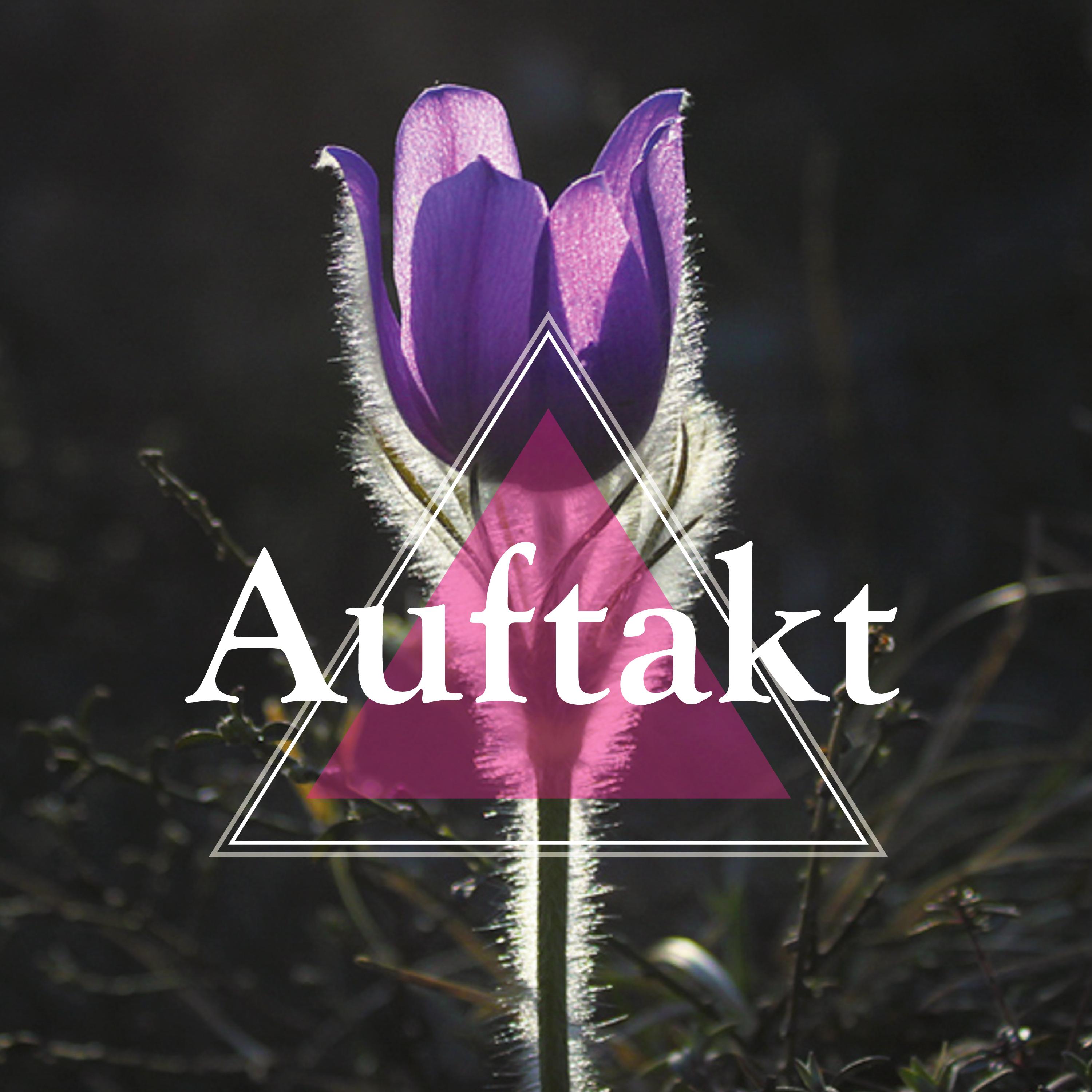 Auftakt