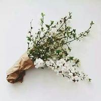 [DJ节目]北桑夏的DJ节目 第33期