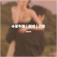 小董不懂【翻唱】合集