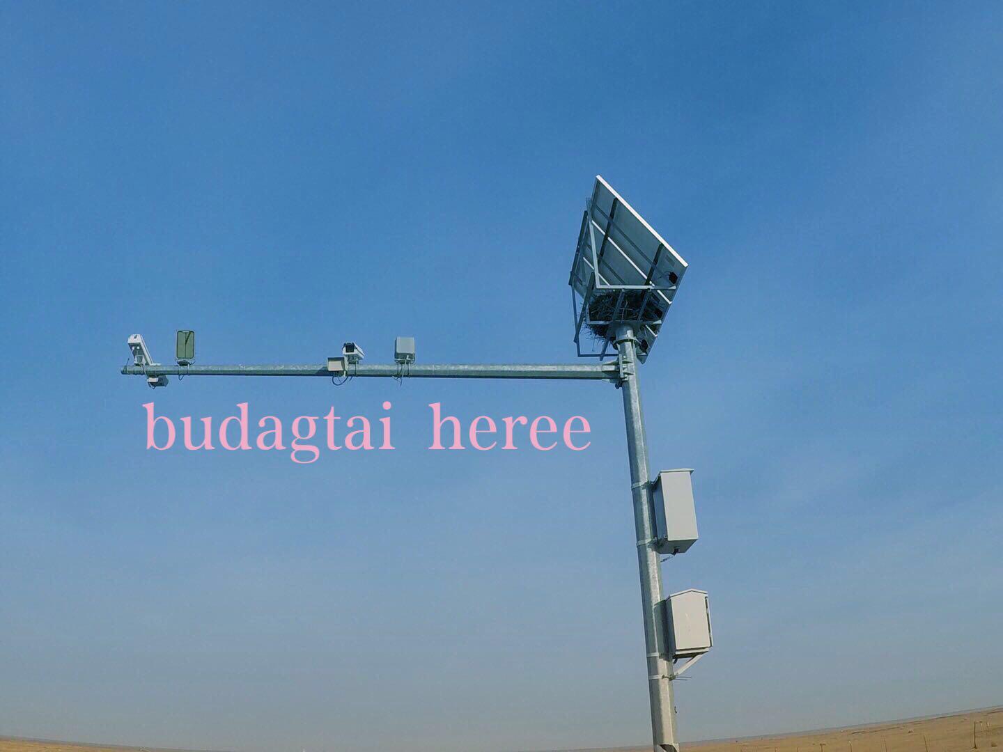 Budagtai heree专辑