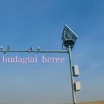 Budagtai heree专辑