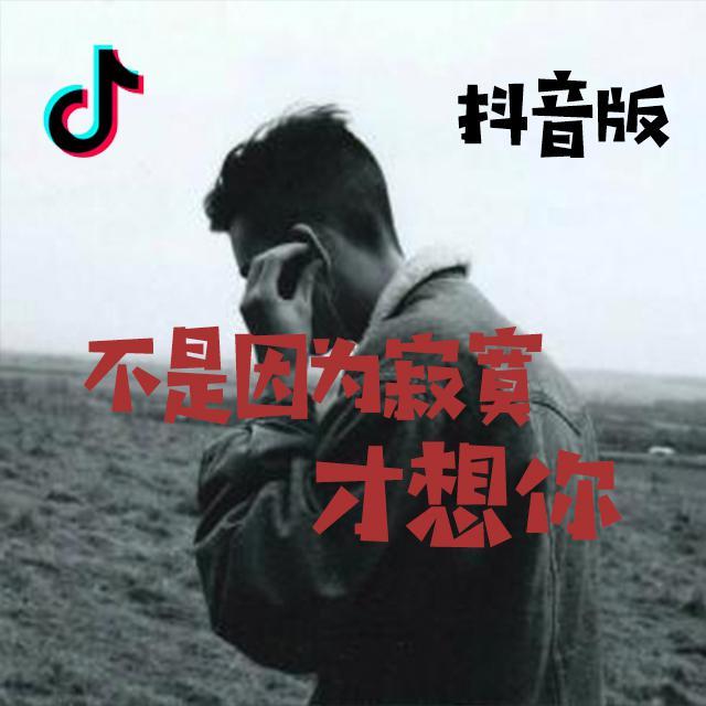 不是因为寂寞才想你（抖音版）