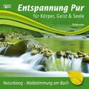 Naturklang-Waldstimmung am Bach专辑