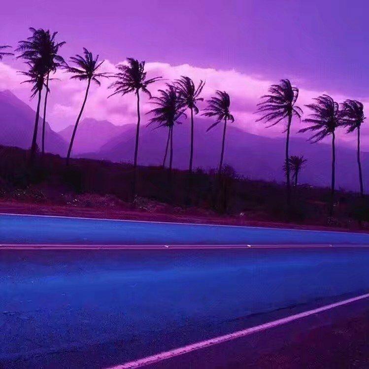 美丽的外地（EDt )