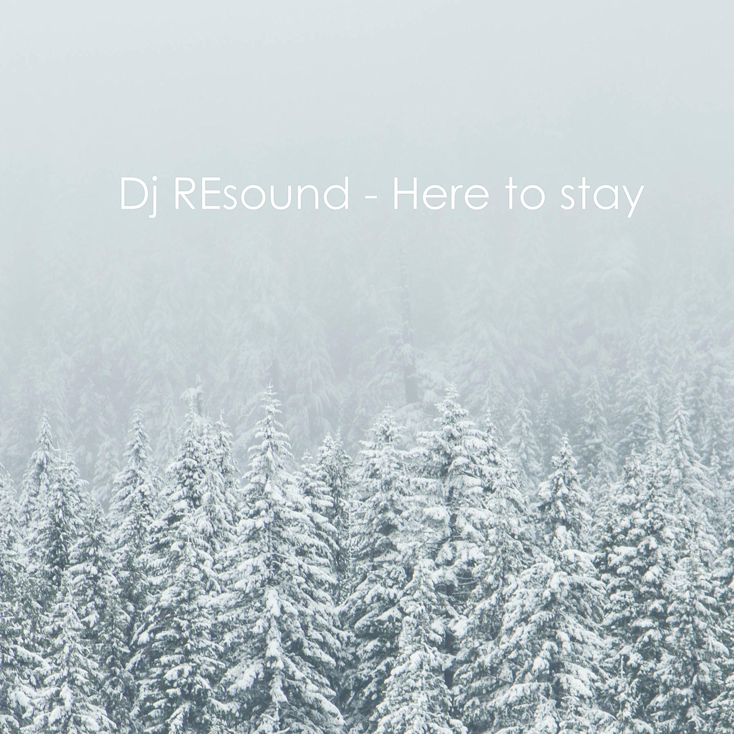 Here To Stay