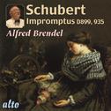 Schubert: Impromptus (complete); Moments Musicaux (selected)专辑
