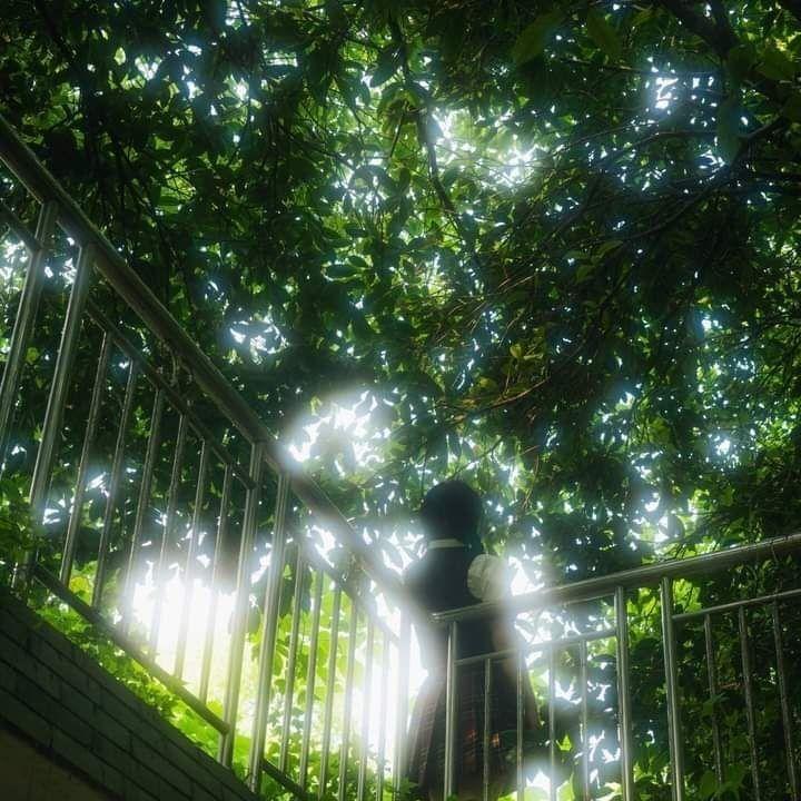 午后摇晃的我们