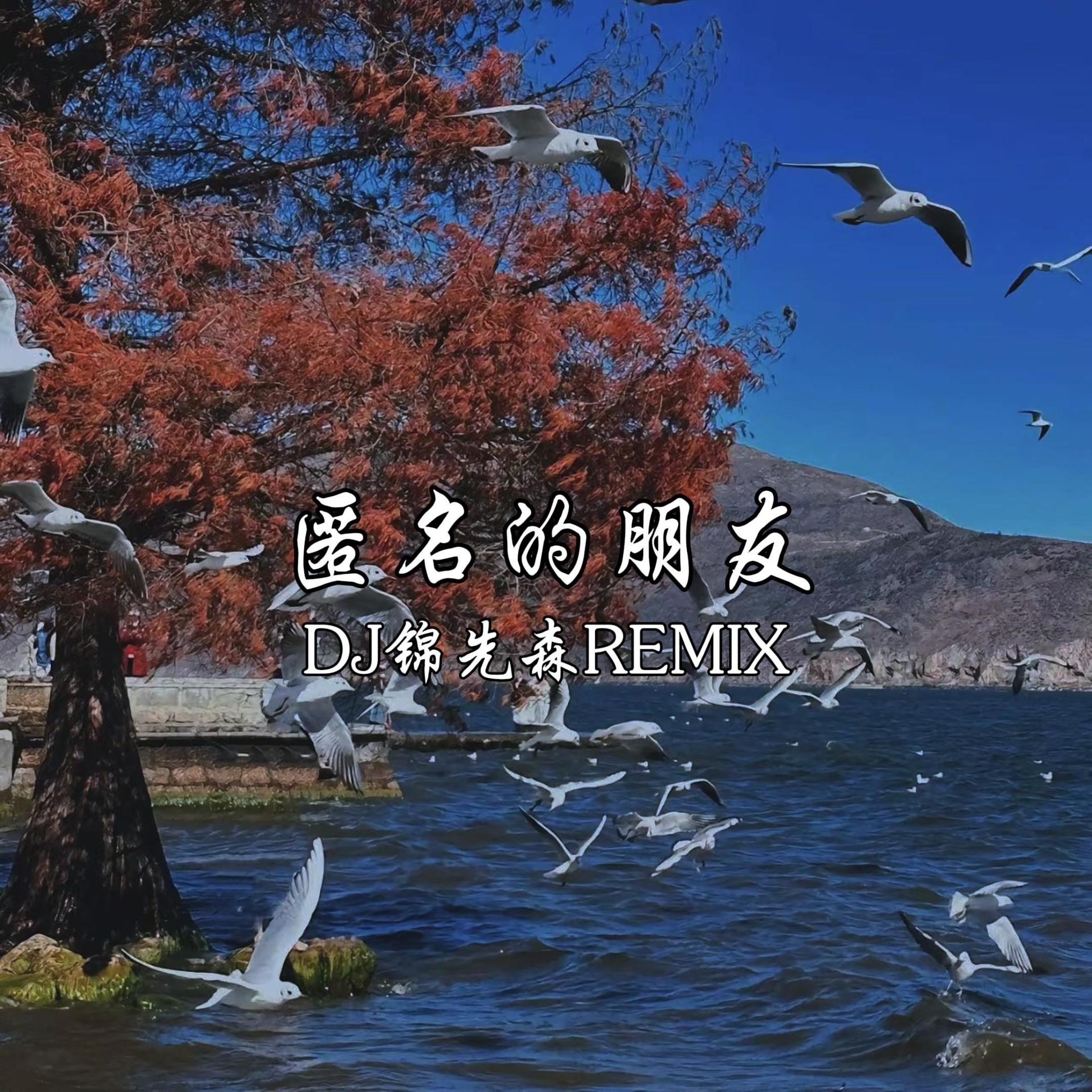 匿名的好友（DJ锦先森 Remix）