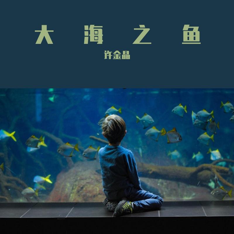 大海之鱼
