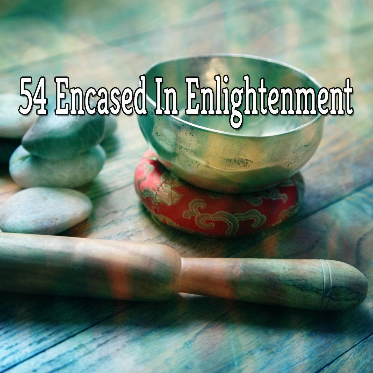 54 Encased in Enlightenment专辑