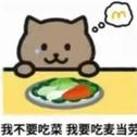 热曲专辑