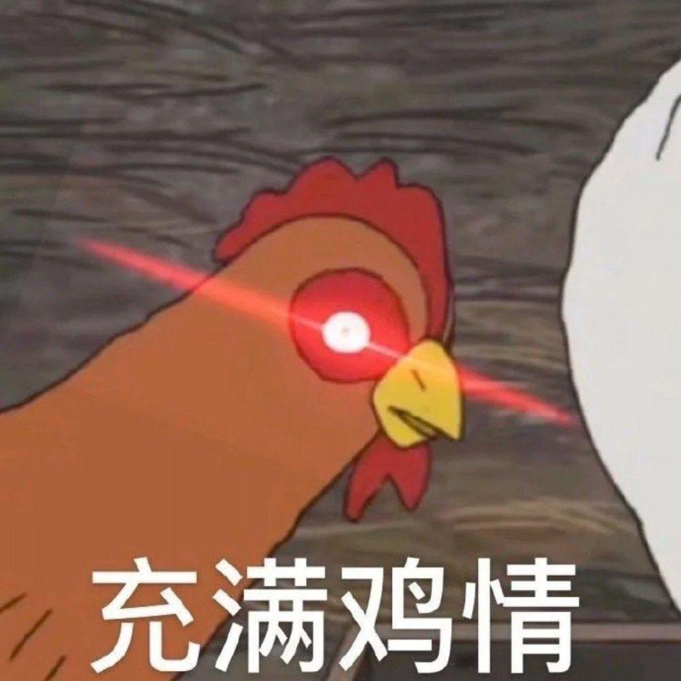 鸡 你太美
