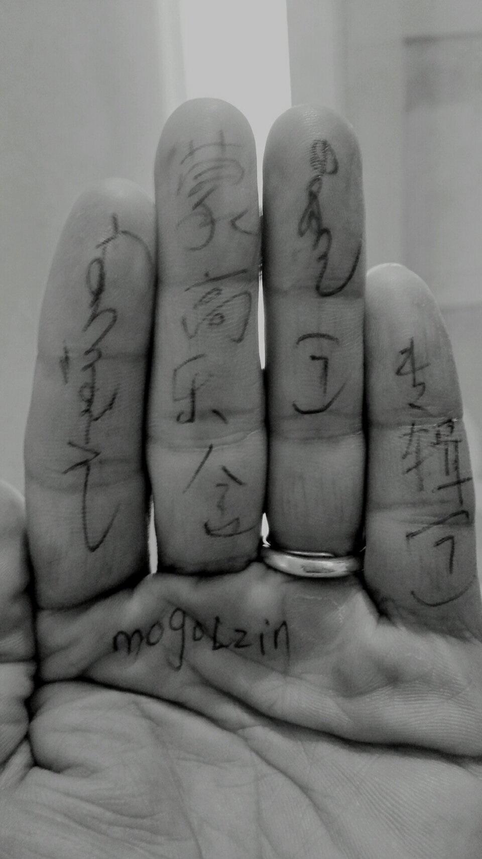蒙高乐金 mongolzin